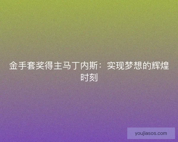 金手套奖得主马丁内斯：实现梦想的辉煌时刻